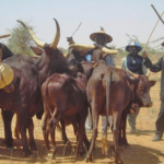 Benue govt holds friendly chat with Miyetti Allah over grazing law