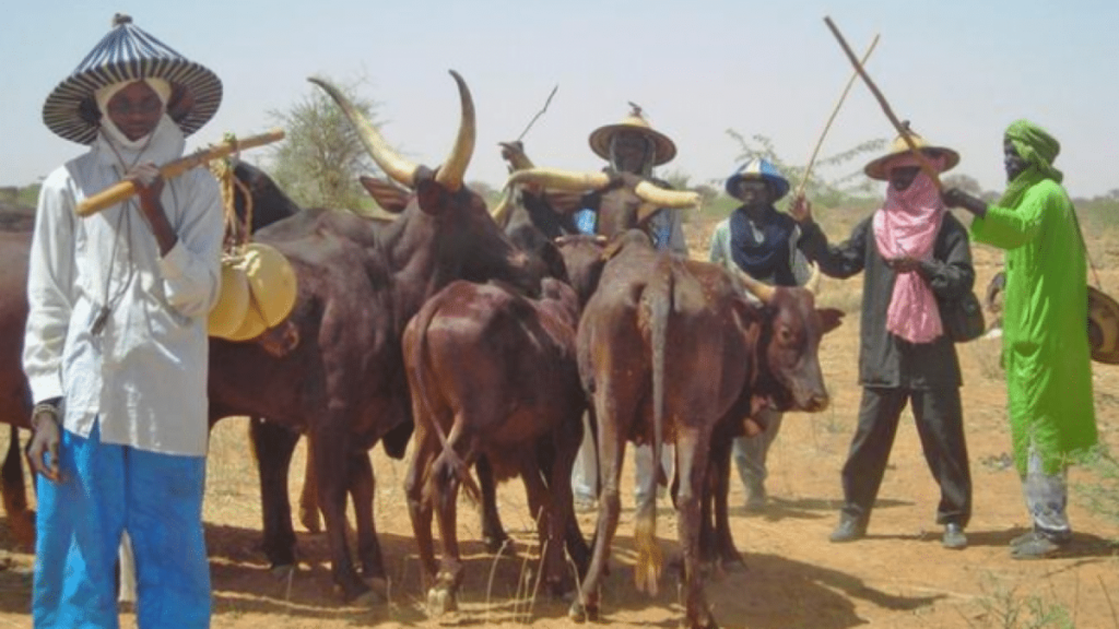 Benue govt holds friendly chat with Miyetti Allah over grazing law