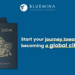 Bluemina: A Leading Force in Citizenship and Residency Solutions