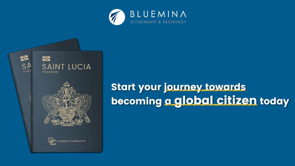 Bluemina: A Leading Force in Citizenship and Residency Solutions