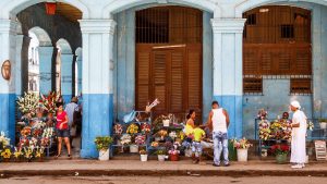 5 experts share their favourite cultural destinations in North and South America