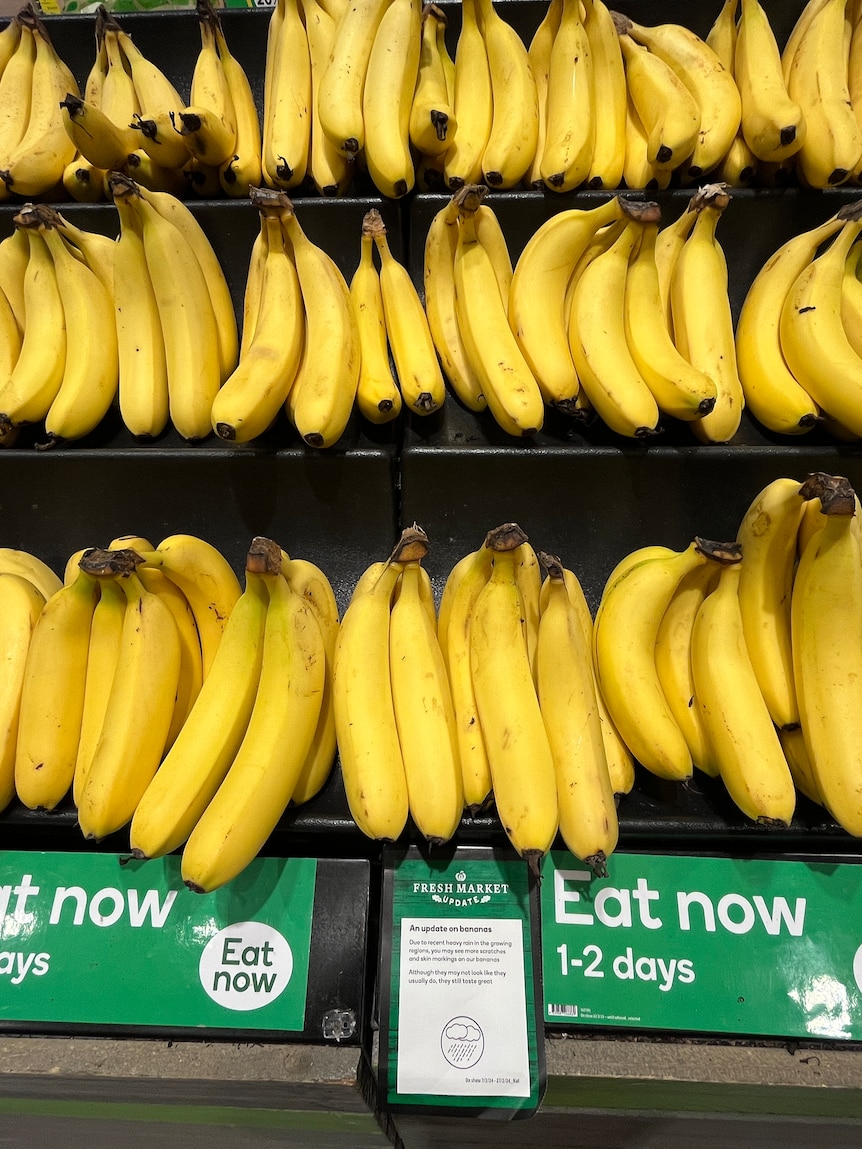 Cyclone-damaged produce promoted by major supermarket