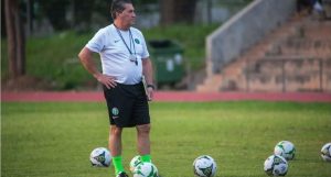 Nigeria can win AFCON – Peseiro