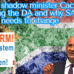 Former shadow minister Cachalia: Dumping the DA and why SA politics needs to change