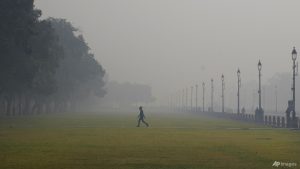 Air pollution and politics pose cross-border challenges in South Asia