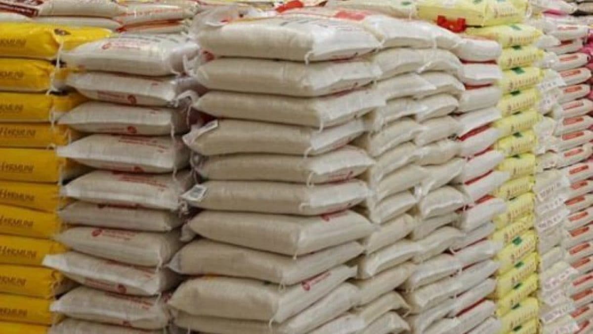 Nigeria, other West African countries’ rice production to increase in 2024 – OCHA