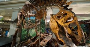 The first dinosaur was named 200 years ago. We know so much more now, World News