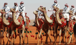 Camel Racing in Saudi Arabia: Cultural Phenomenon & National Pastime