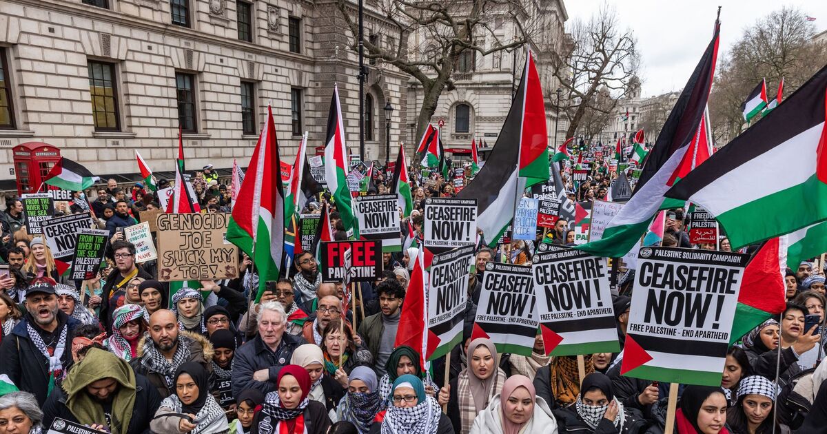 More than 200,000 pro-Palestine protesters to march through London near Israeli embassy