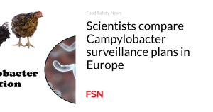 Scientists compare Campylobacter surveillance plans in Europe