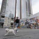 Los Angeles finally tackles $1.5 billion eyesore ‘graffiti towers’ left vacant by China real-estate bust, beloved by daredevil influencers