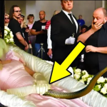 She Was About to Get Buried but a Snake Suddenly Stops the Funeral. What Happened Next Is Bizarre