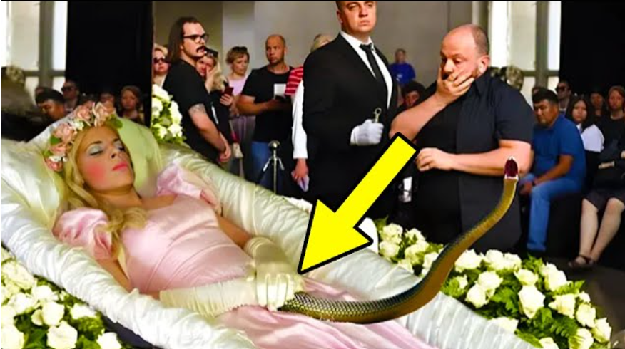 She Was About to Get Buried but a Snake Suddenly Stops the Funeral. What Happened Next Is Bizarre