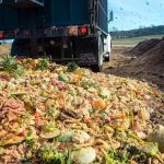 ‎Saudi Arabia considers mandatory waste food policy for retail firms