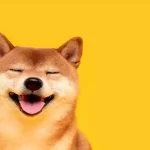 Shiba Inu Team Reveals An Upcoming Huge SHIB Burn – Will it Impact the Price Trend?