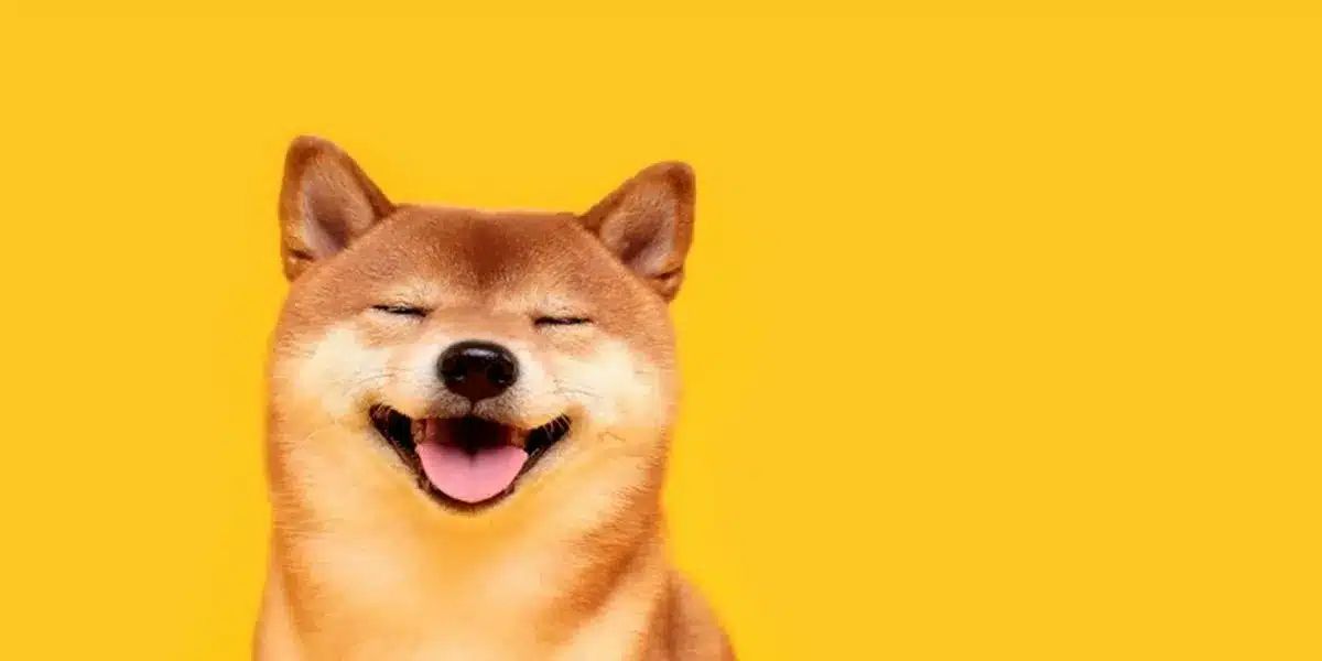 Shiba Inu Team Reveals An Upcoming Huge SHIB Burn – Will it Impact the Price Trend?