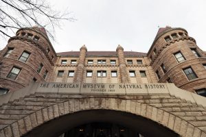 American Museum of Natural History Closes Certain Displays Amid New Federal Regulations