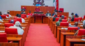 Senate Blocks Electricity Tariff Hike