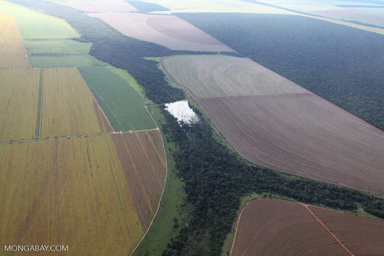 Low implementation of land use maps in Andean countries affects conservation outcomes and agricultural productivity