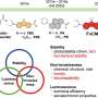 Team makes progress with fluorescent dyes to better visualize lipid membrane order in live cells