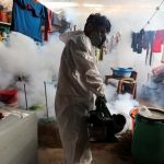 Peru’s dengue deaths triple as climate change swells mosquito population