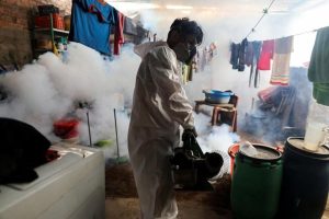 Peru’s dengue deaths triple as climate change swells mosquito population