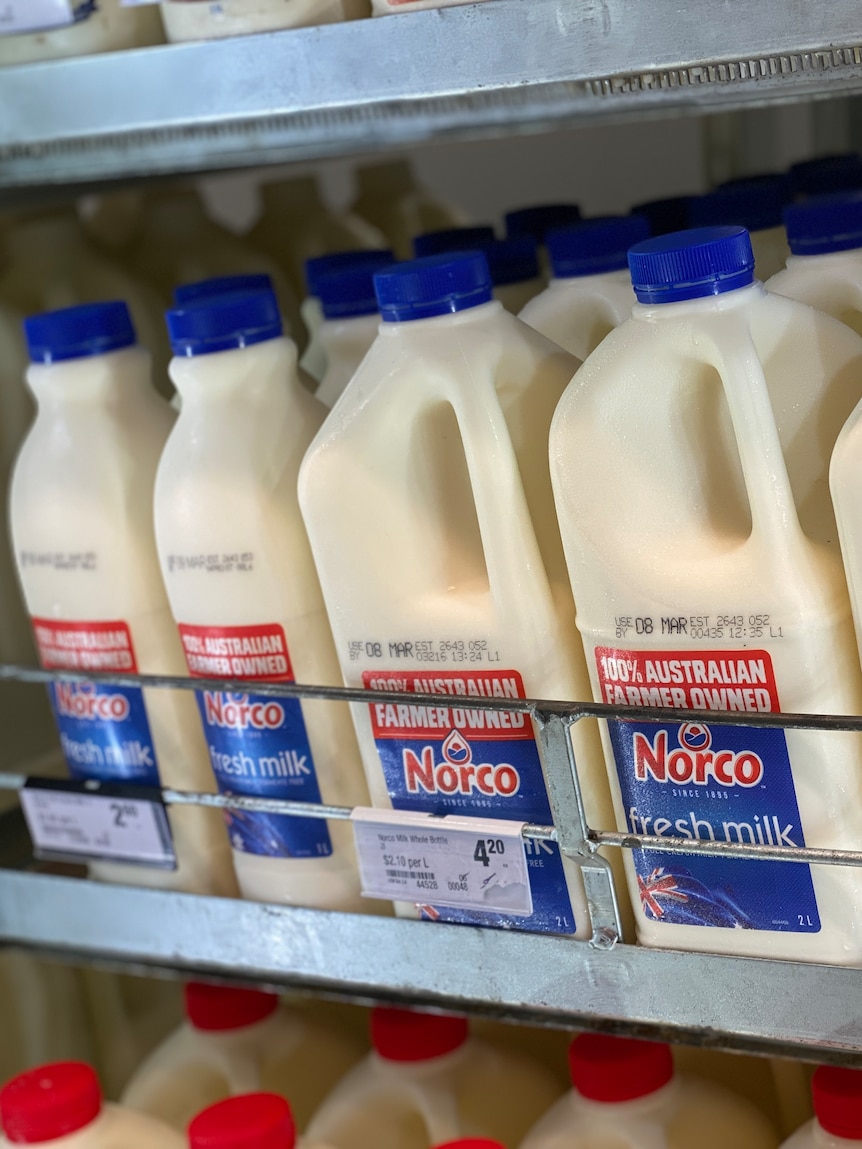 Woolworths’ Sydney milk shut out a ‘huge blow’ to Norco farmers