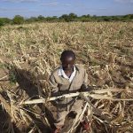 Severe drought and famine in southern Africa leaves some 20 million facing hunger