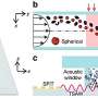 New technique for sorting micro-particles uses sound waves