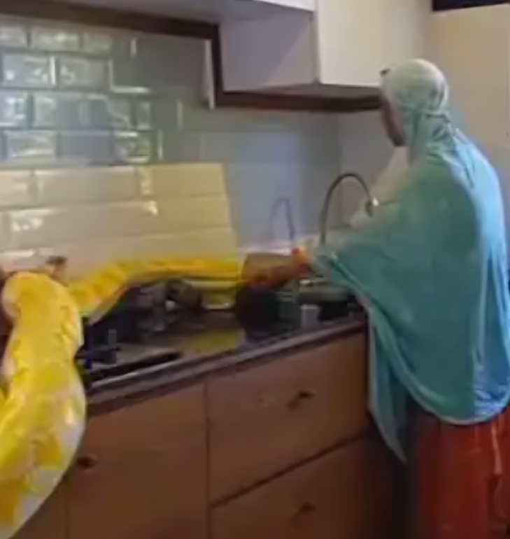 Kenyan nanny in Saudi Arabia stuns Internet with employer’s massive pet snake