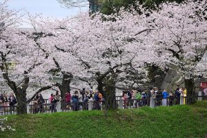 622k Filipinos visited Japan in 2023