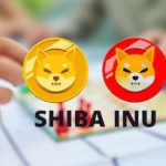 Shiba Inu Enters CDSA Alliance for Content Innovation