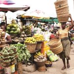 FG to release more foodstuffs into Nigerian markets – Agriculture minister