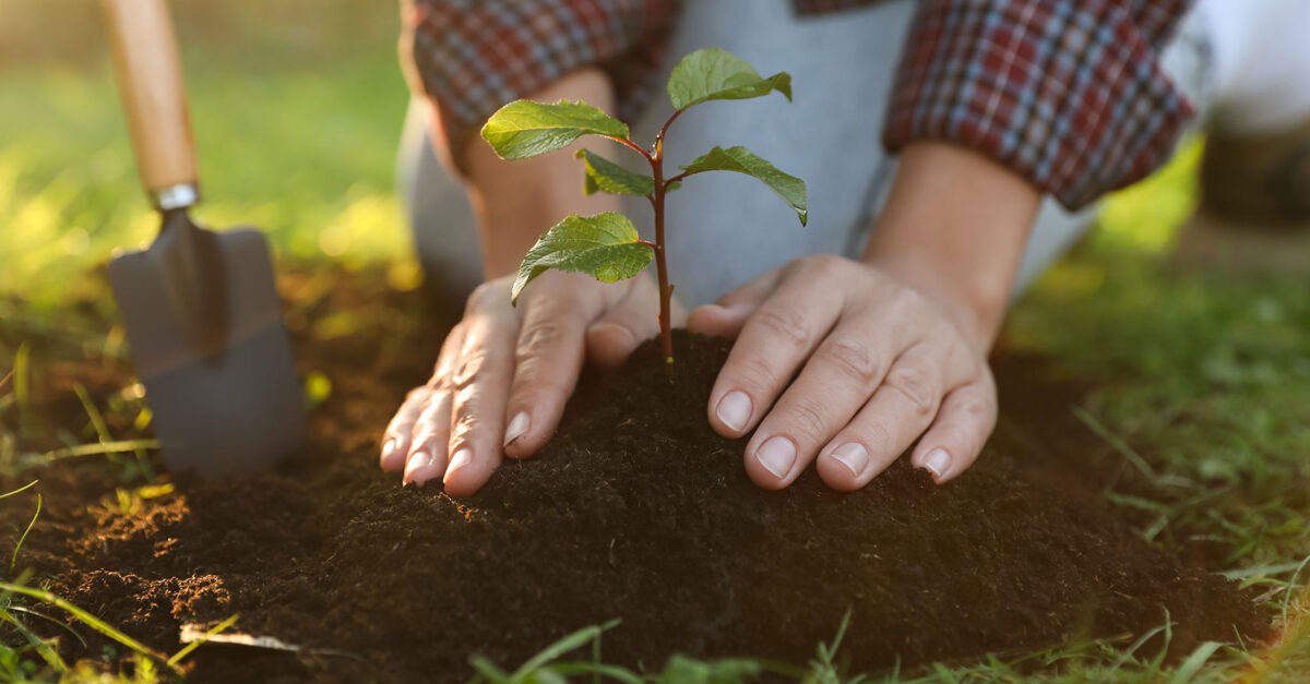 7 Things to Do for Your Community This Earth Month