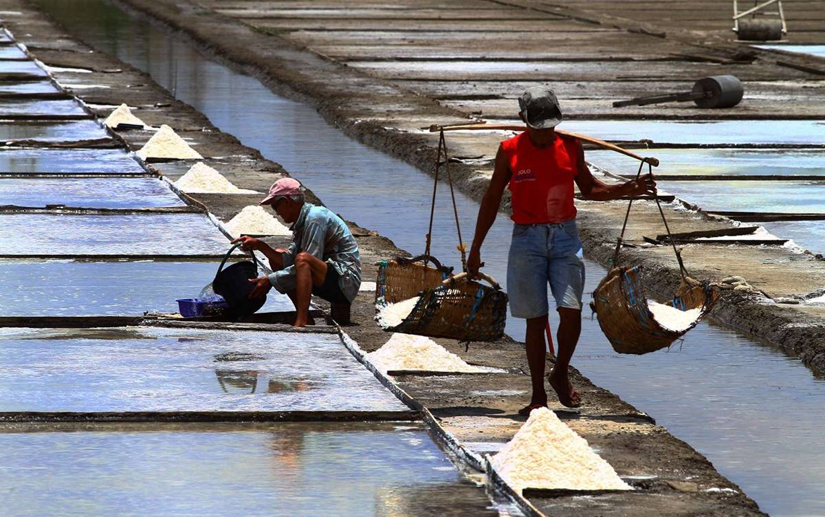 Marcos signs salt law