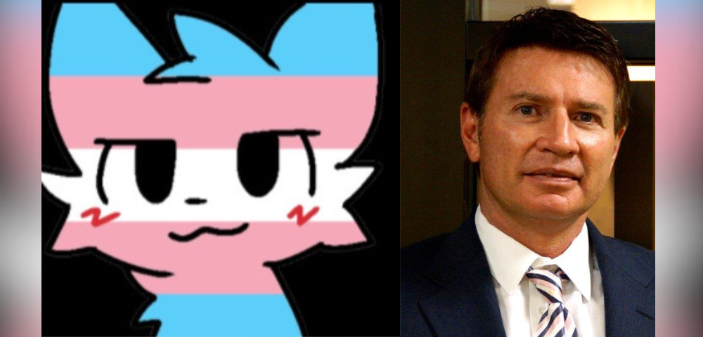 Gay Furry Hackers Attack Alt-Right Media Platform