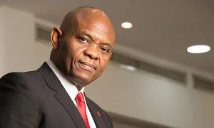 Tony Elumelu Considering Owning NPFL Club