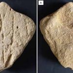 120,000-Year-Old Stingray Sand ‘Sculpture’ Found in South Africa