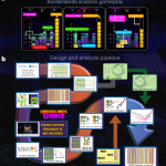 Improving microbial phylogeny with citizen science within a mass-market video game