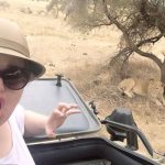 ‘Thought it would be the Lion King’: Rebel Wilson dragged over SA comments [video]