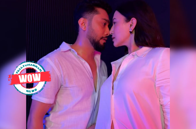 Gauahar Khan and Zaid Darbar to come together for a film? Here's what we know