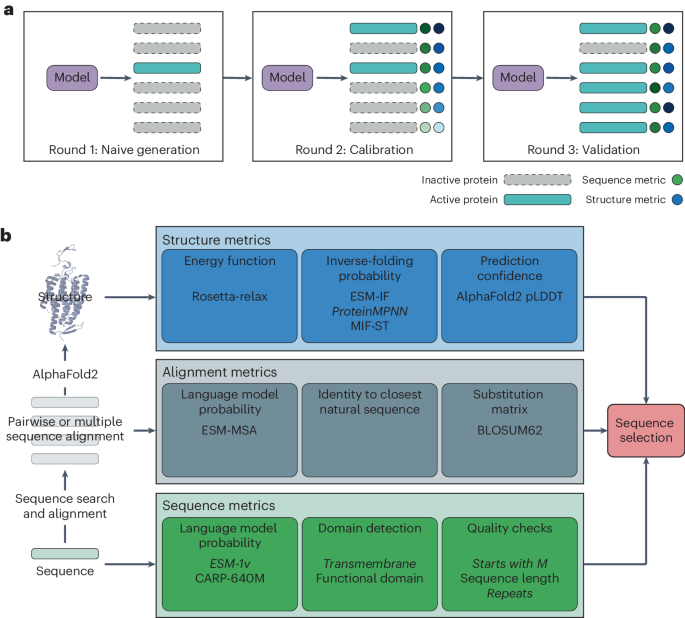 Computational scoring and experimental evaluation of enzymes generated by neural networks