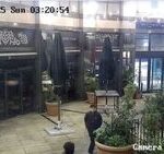Urgent manhunt after woman sexually assaulted outside Tube station