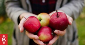 NZ-designed apples miss trick by omitting FernMark branding in Canada