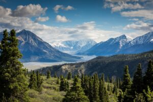 RockFence Capitals Urges Homeowners to Rediscover the Beauty of Imperfection and Local Landscapes