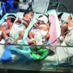 Gaza crisis: Premature babies cramped in incubators as fuel shortage cripples hospitals