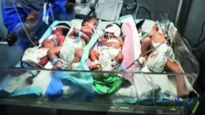 Gaza crisis: Premature babies cramped in incubators as fuel shortage cripples hospitals
