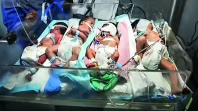 Gaza crisis: Premature babies cramped in incubators as fuel shortage cripples hospitals