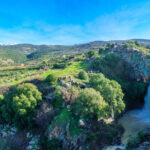 Israel seeks Golan Heights’ control for peace deal with Syria