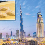 Eat, drink, sleep, repeat: Foodie delights in Dubai